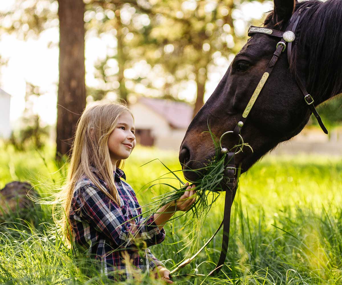 Tyttö syöttää hevoselle heinää